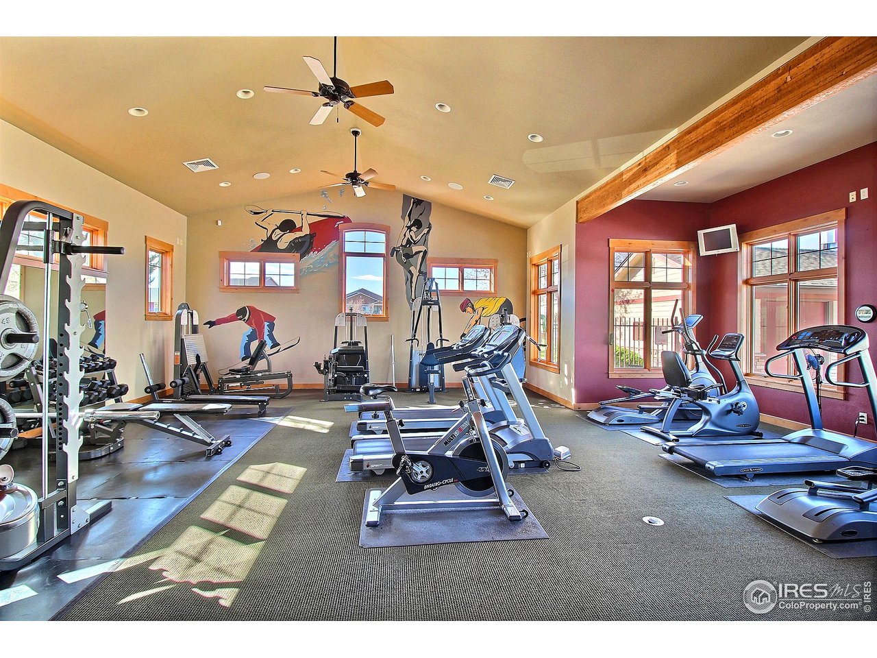6607 West 3rd Street, Unit 1202 Greeley, CO 80634 - Photo 30 of 33 Workout Room