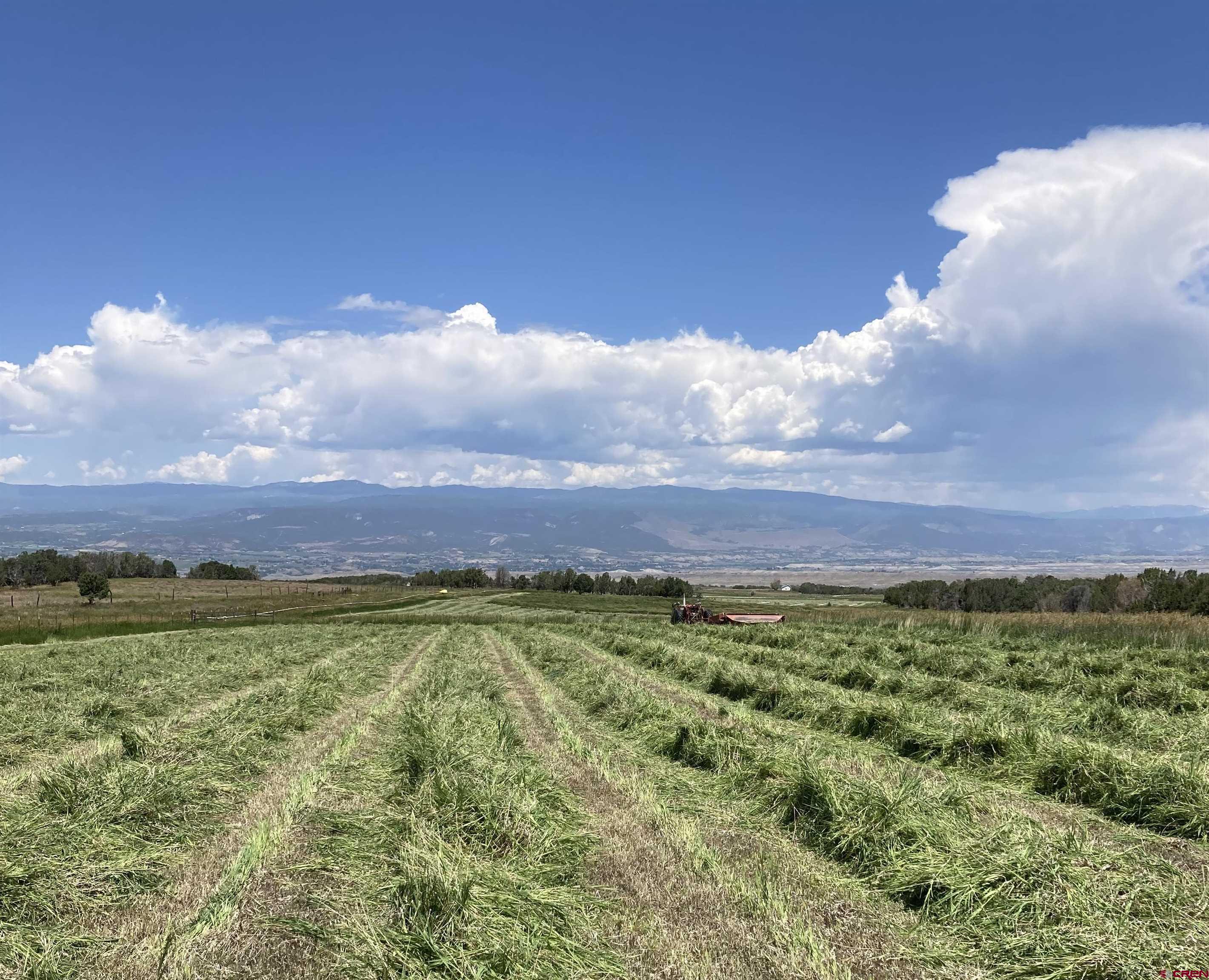 678 3375th Road Crawford, CO 81415 - Photo 23 of 42 Gallery Image 23