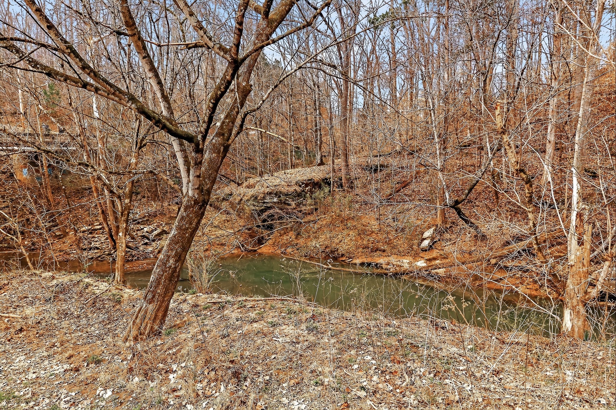 1220 Bob Bullock Road Cookeville, TN 38506 - Photo 13 of 58