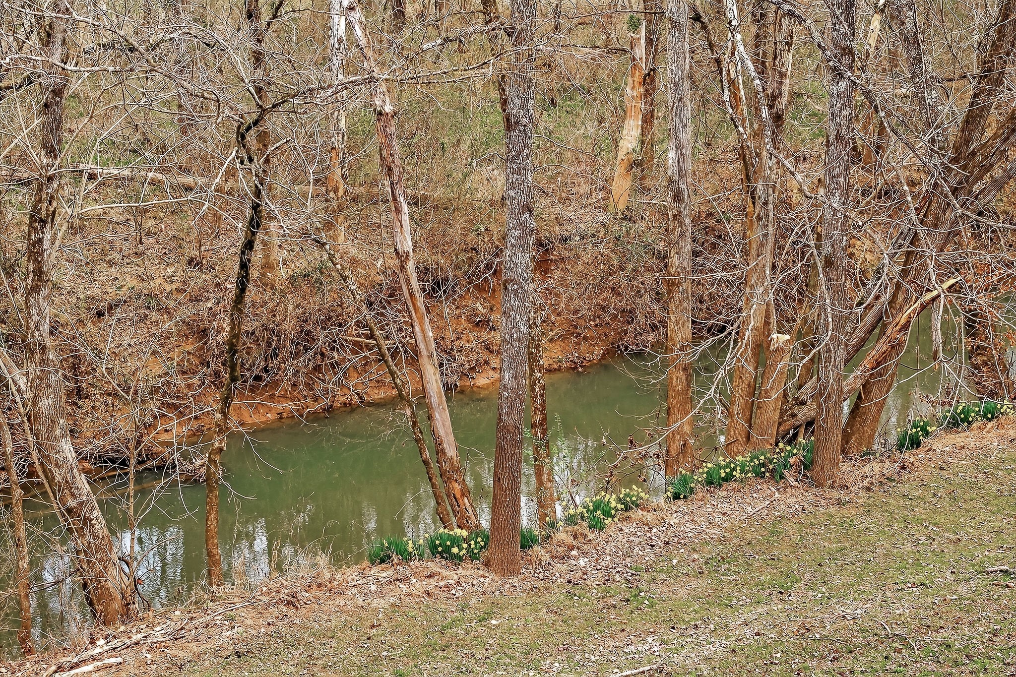 1220 Bob Bullock Road Cookeville, TN 38506 - Photo 15 of 58