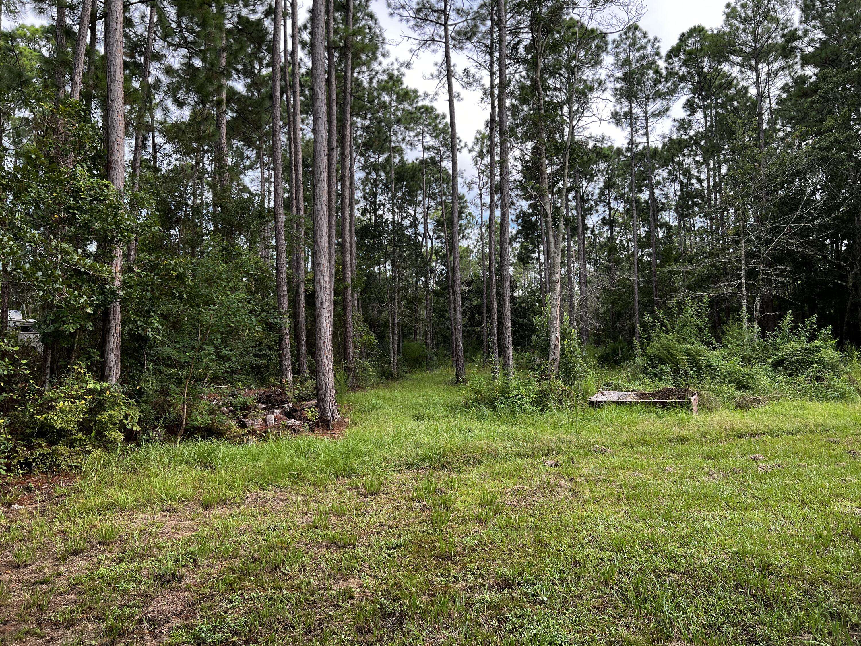 1373 Chat Holley Road Santa Rosa Beach, FL 32459 - Photo 11 of 11 BF0F6280-03B8-4A27-B330-1C4714A03AC3