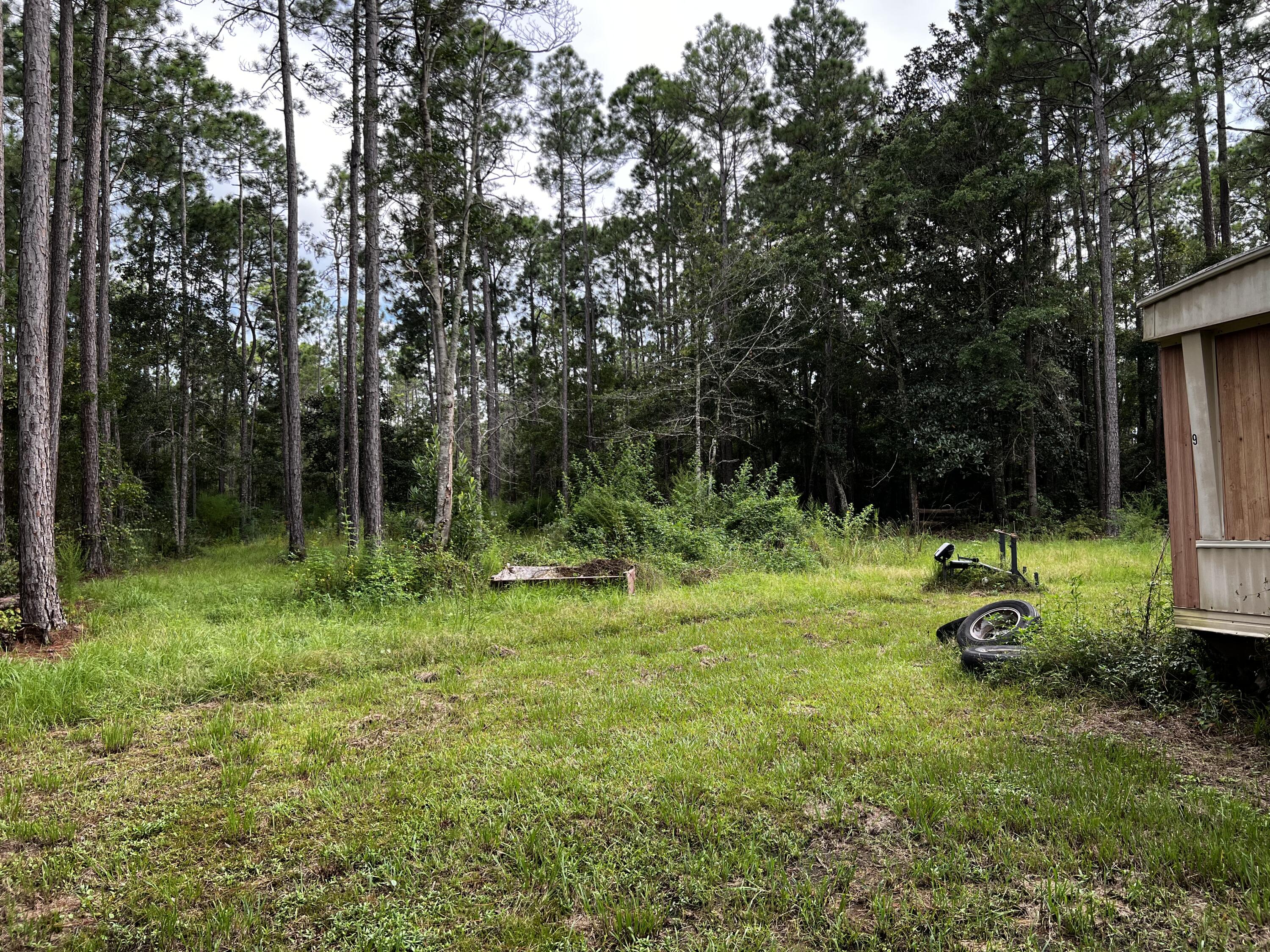 1373 Chat Holley Road Santa Rosa Beach, FL 32459 - Photo 10 of 11 0292C129-C098-429C-9A8C-B7F12D76B034