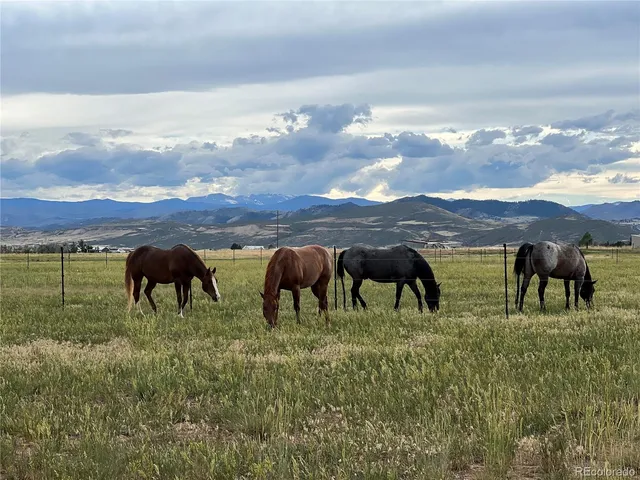 $2,000,000 | 612 West Co Road 74, Wellington, CO 80549