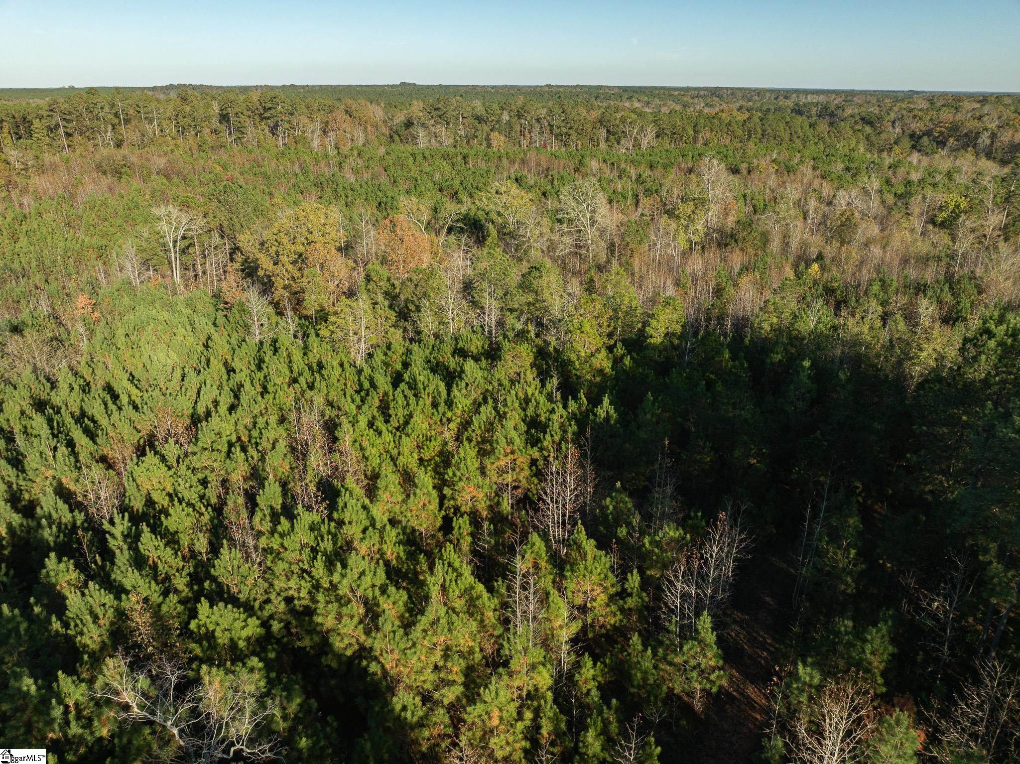 0 Puckett Ferry Road Cross Hill, SC 29332 - Photo 14 of 22 Gallery Image 14