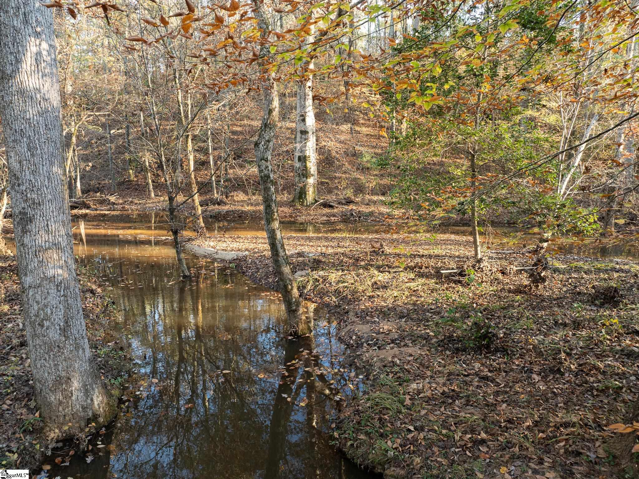 0 Puckett Ferry Road Cross Hill, SC 29332 - Photo 20 of 22 Gallery Image 20
