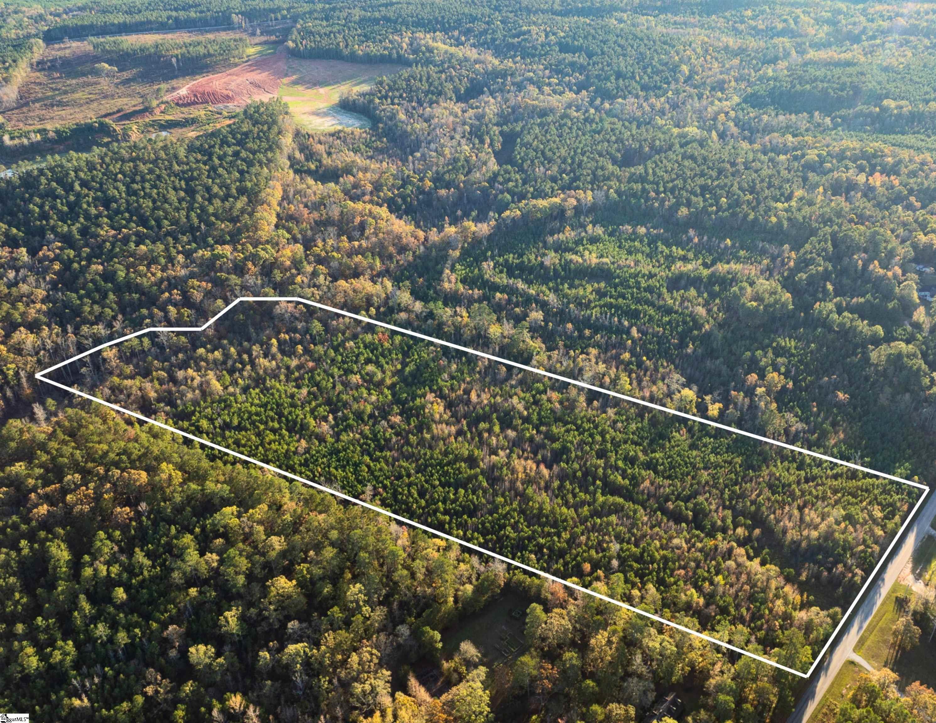 0 Puckett Ferry Road Cross Hill, SC 29332 - Photo 2 of 22 Gallery Image 2