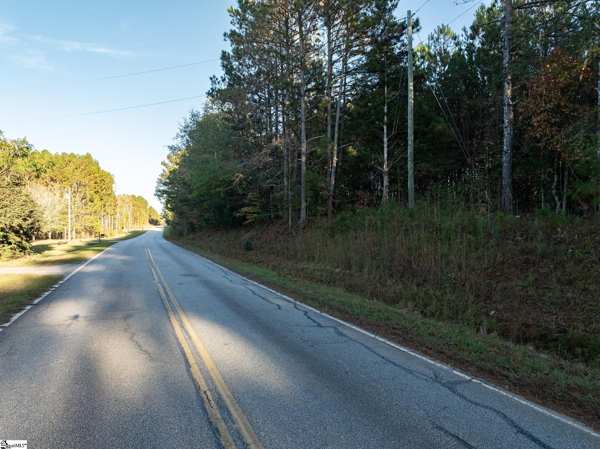 0 Puckett Ferry Road Cross Hill, SC 29332 - Photo 22 of 22 Gallery Image 22