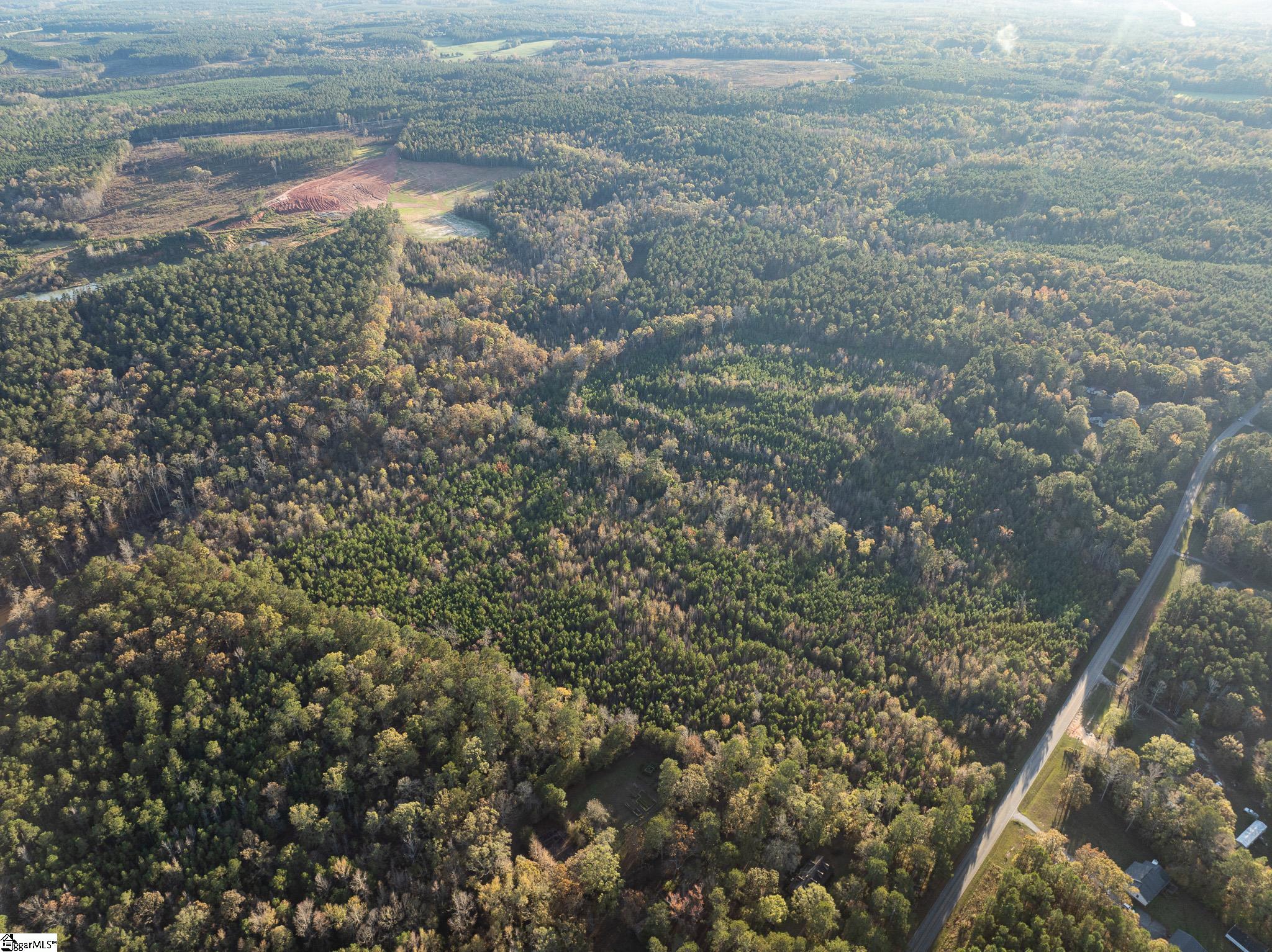 0 Puckett Ferry Road Cross Hill, SC 29332 - Photo 3 of 22 Gallery Image 3