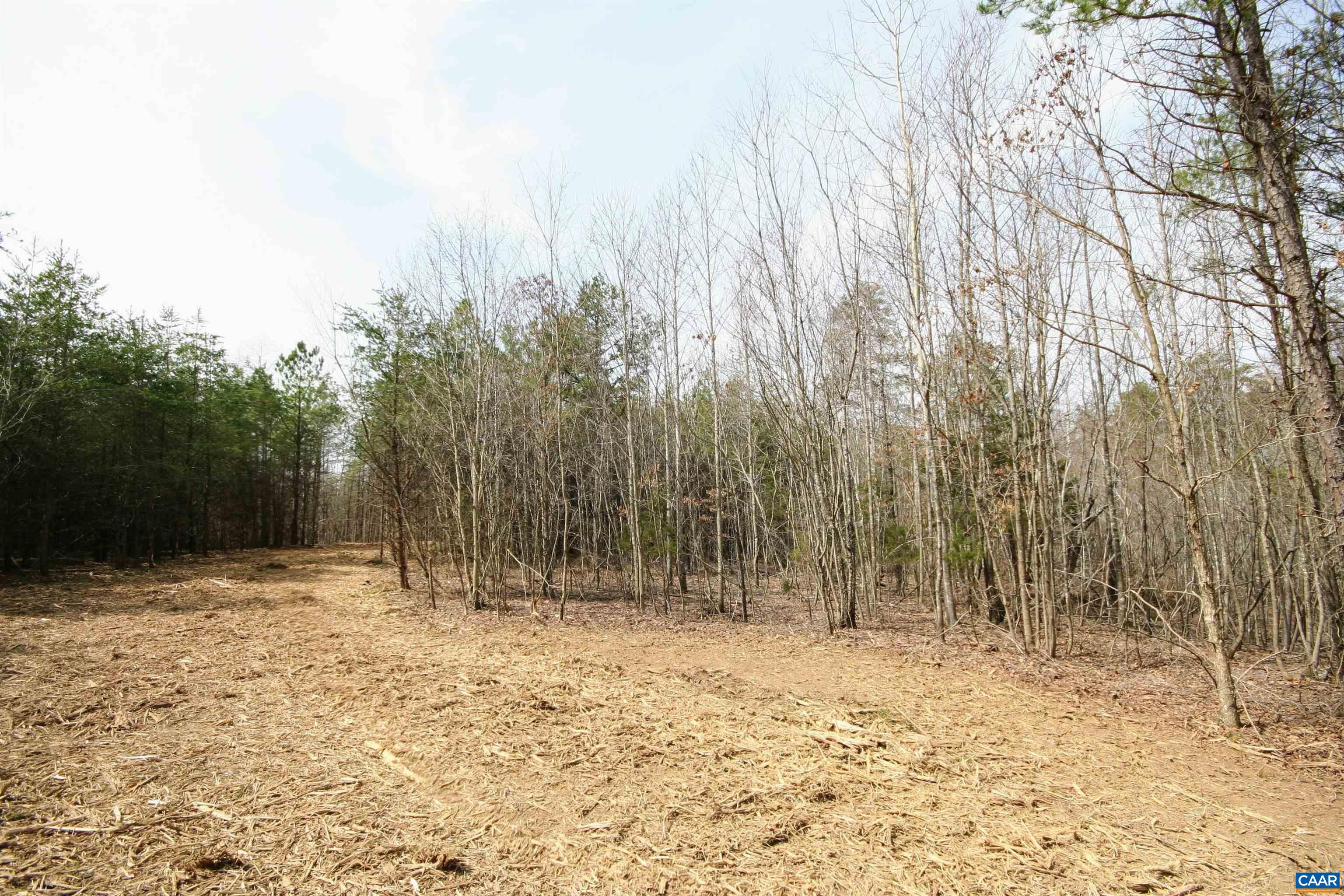 Tba Lot 2 Tba Road Wingina, VA 24599 - Photo 31 of 63 a view of wooden fence and trees