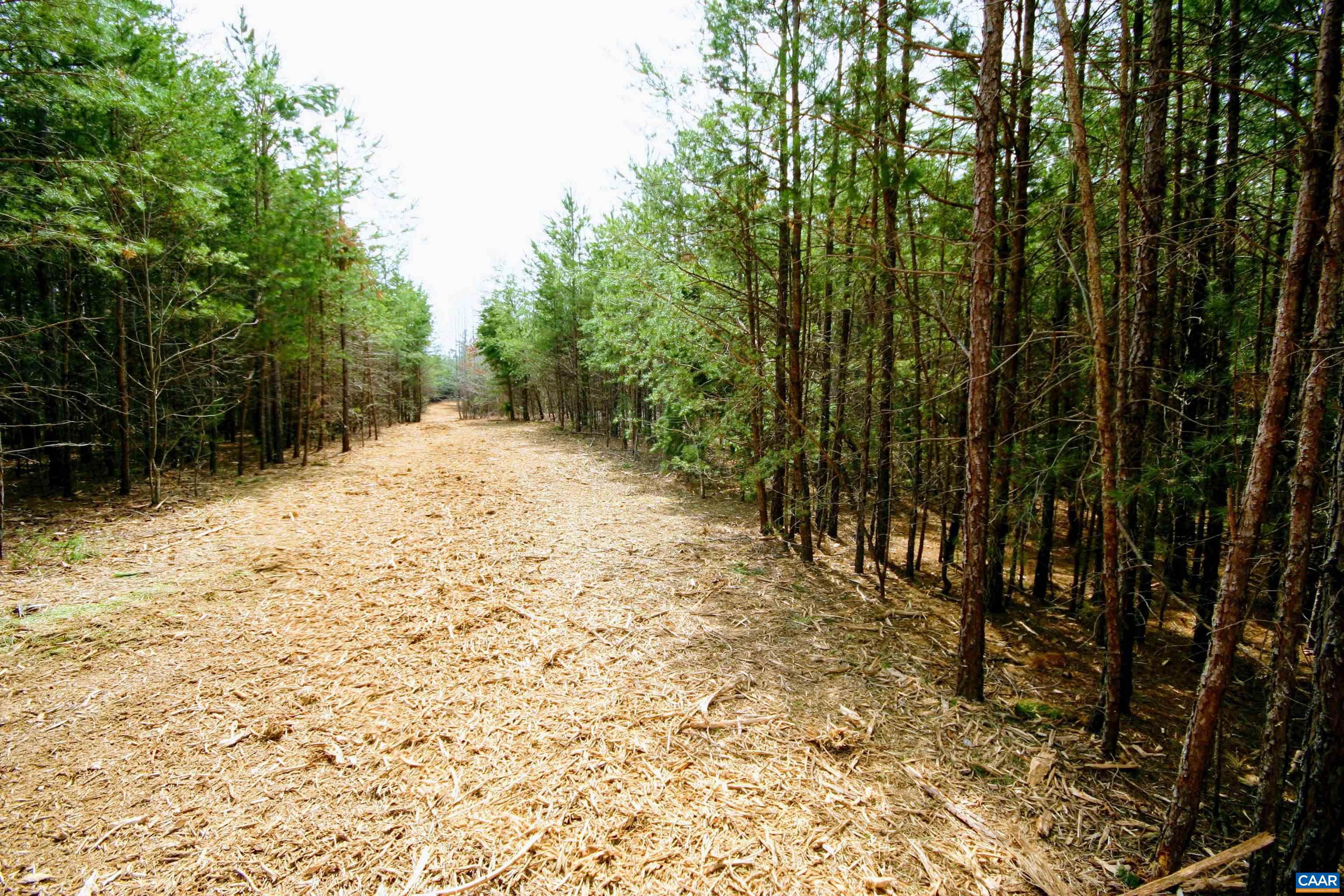 Tba Lot 2 Tba Road Wingina, VA 24599 - Photo 40 of 63 a view of a yard with trees