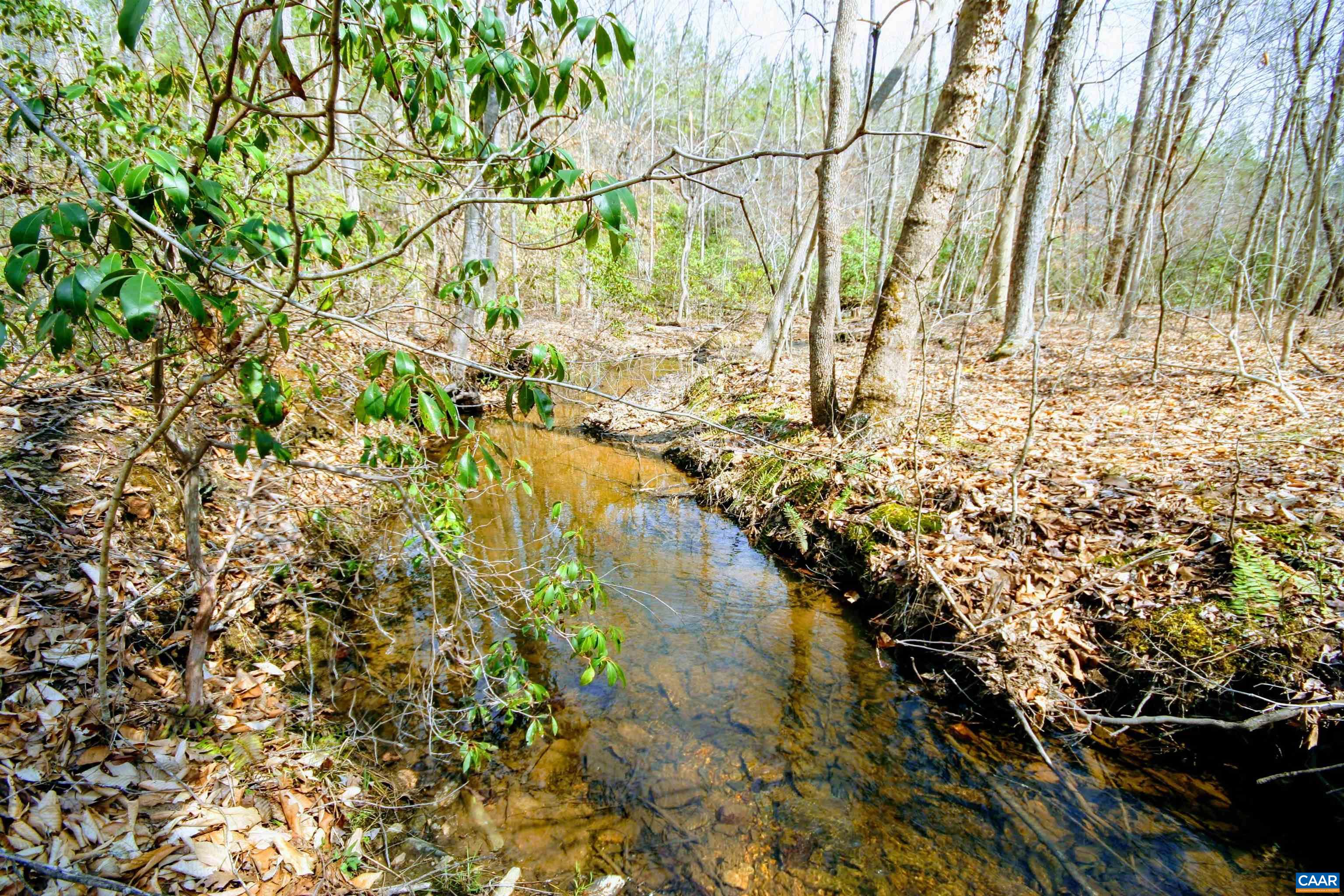 Tba Lot 2 Tba Road Wingina, VA 24599 - Photo 42 of 63