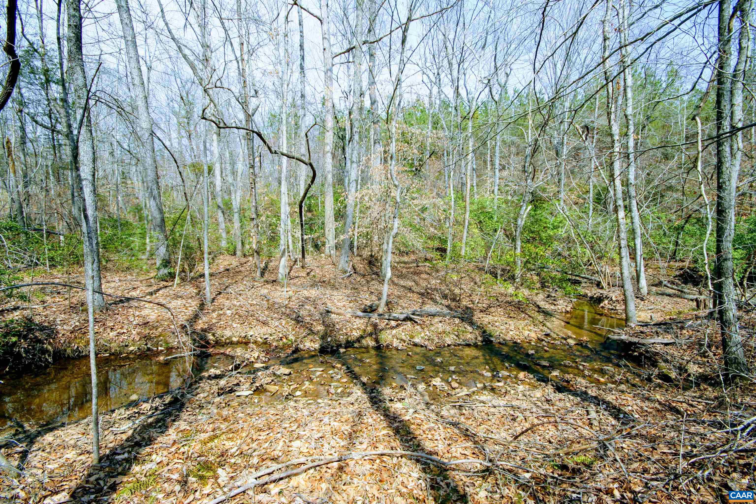 Tba Lot 2 Tba Road Wingina, VA 24599 - Photo 43 of 63