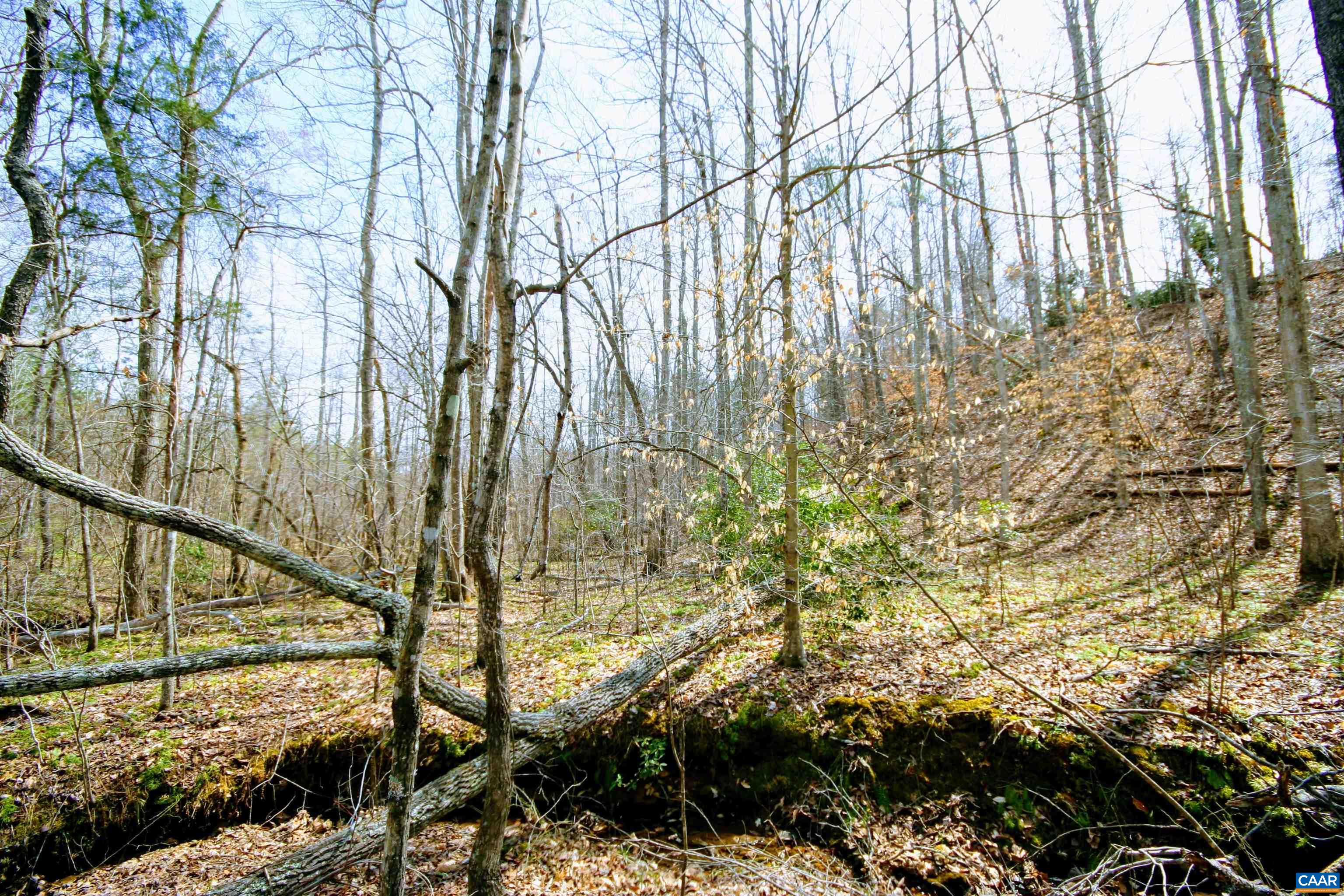 Tba Lot 2 Tba Road Wingina, VA 24599 - Photo 48 of 63 a view of mountain view and covered with tall trees