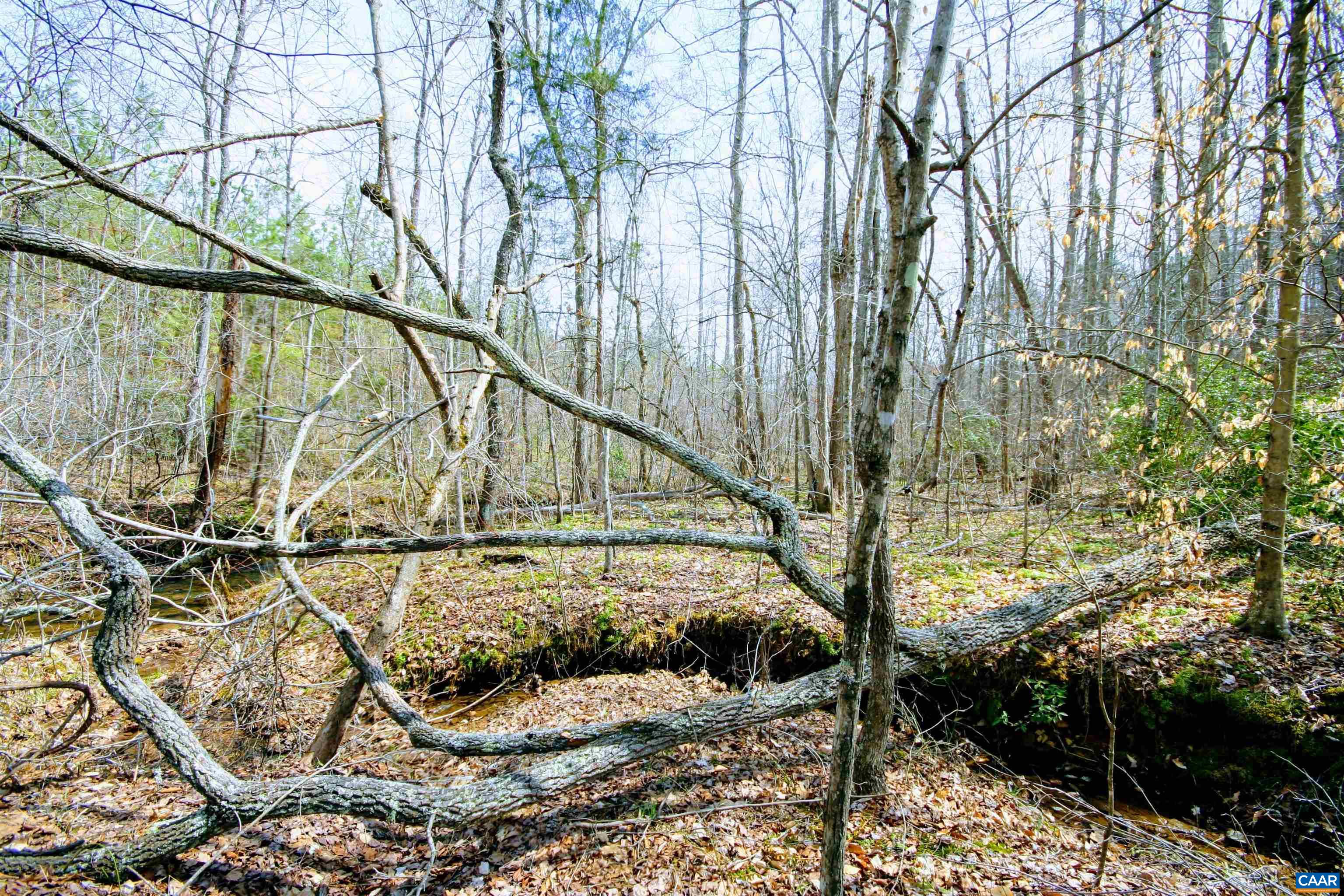Tba Lot 2 Tba Road Wingina, VA 24599 - Photo 49 of 63