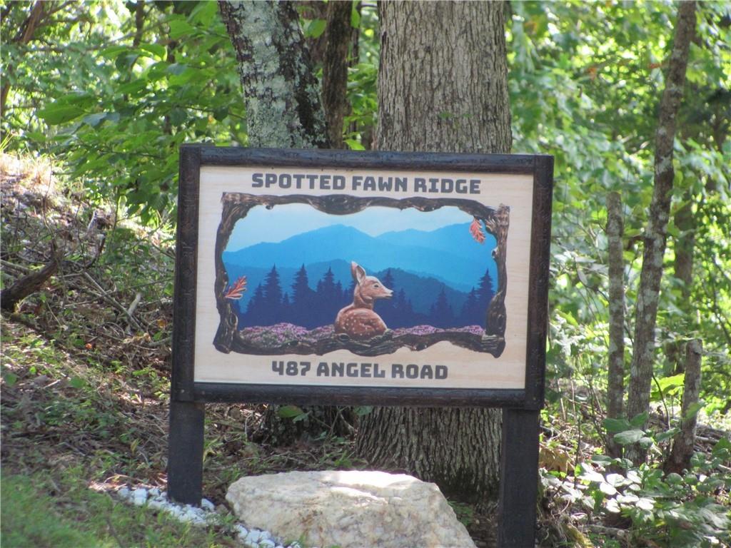 487 Angel Road Fairmount, GA 30139 - Photo 6 of 33