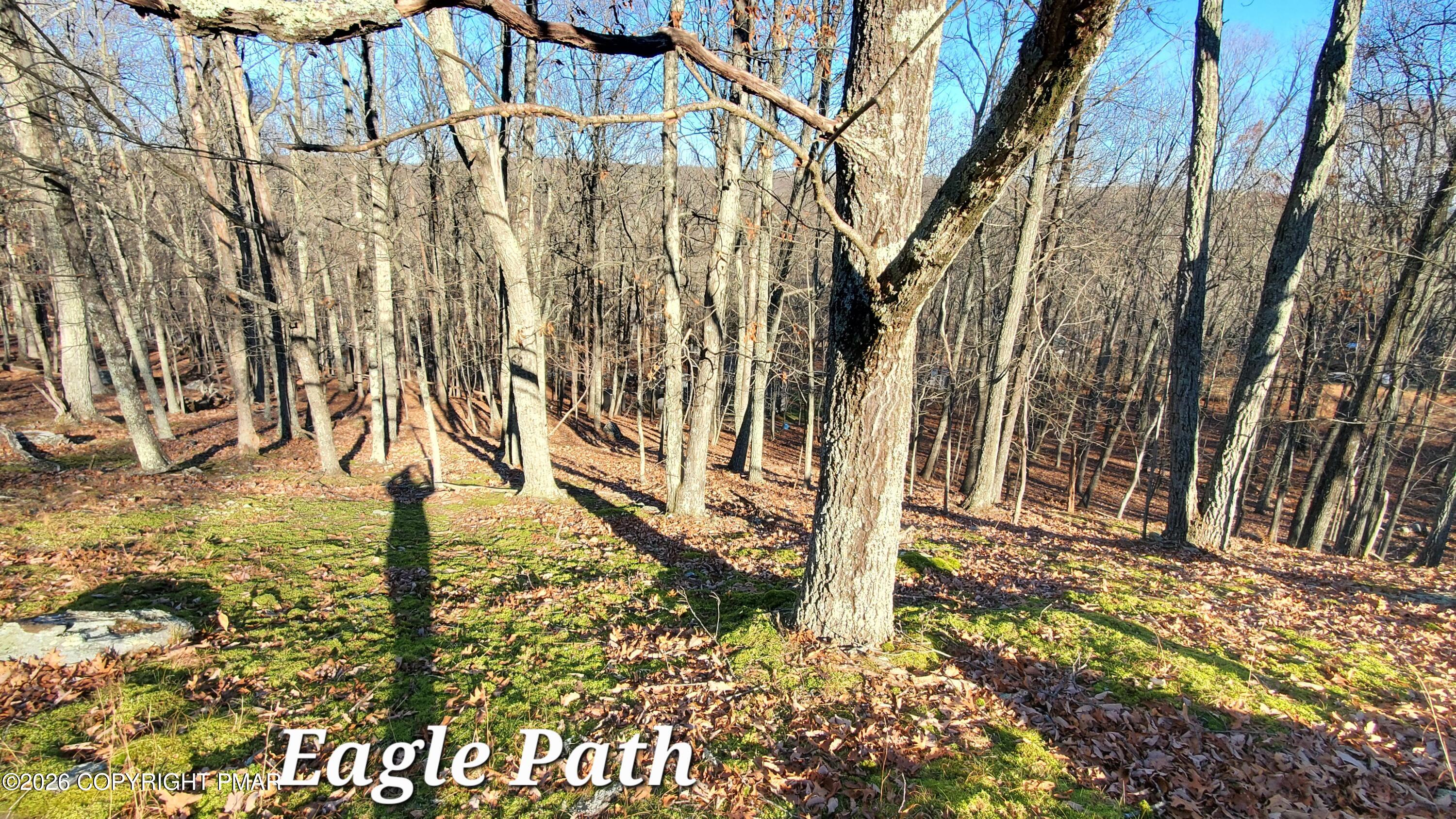 193-lot Eagle Path Bushkill, PA 18324 - Photo 3 of 7 20231125_141350
