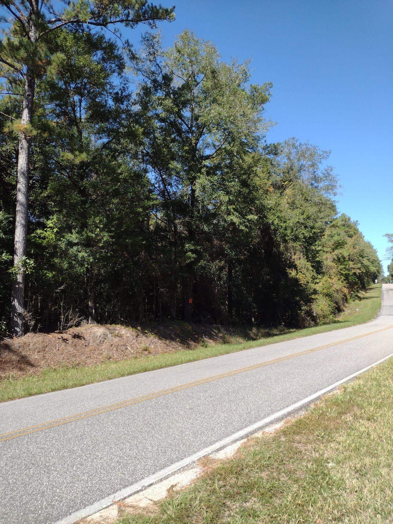 0 Canaan Road West Stockton, AL 36579 - Photo 2 of 12
