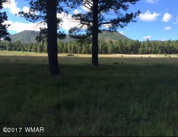 5 D Cr Alpine, AZ 85920 - Photo 4 of 7