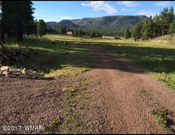 5 D Cr Alpine, AZ 85920 - Photo 6 of 7