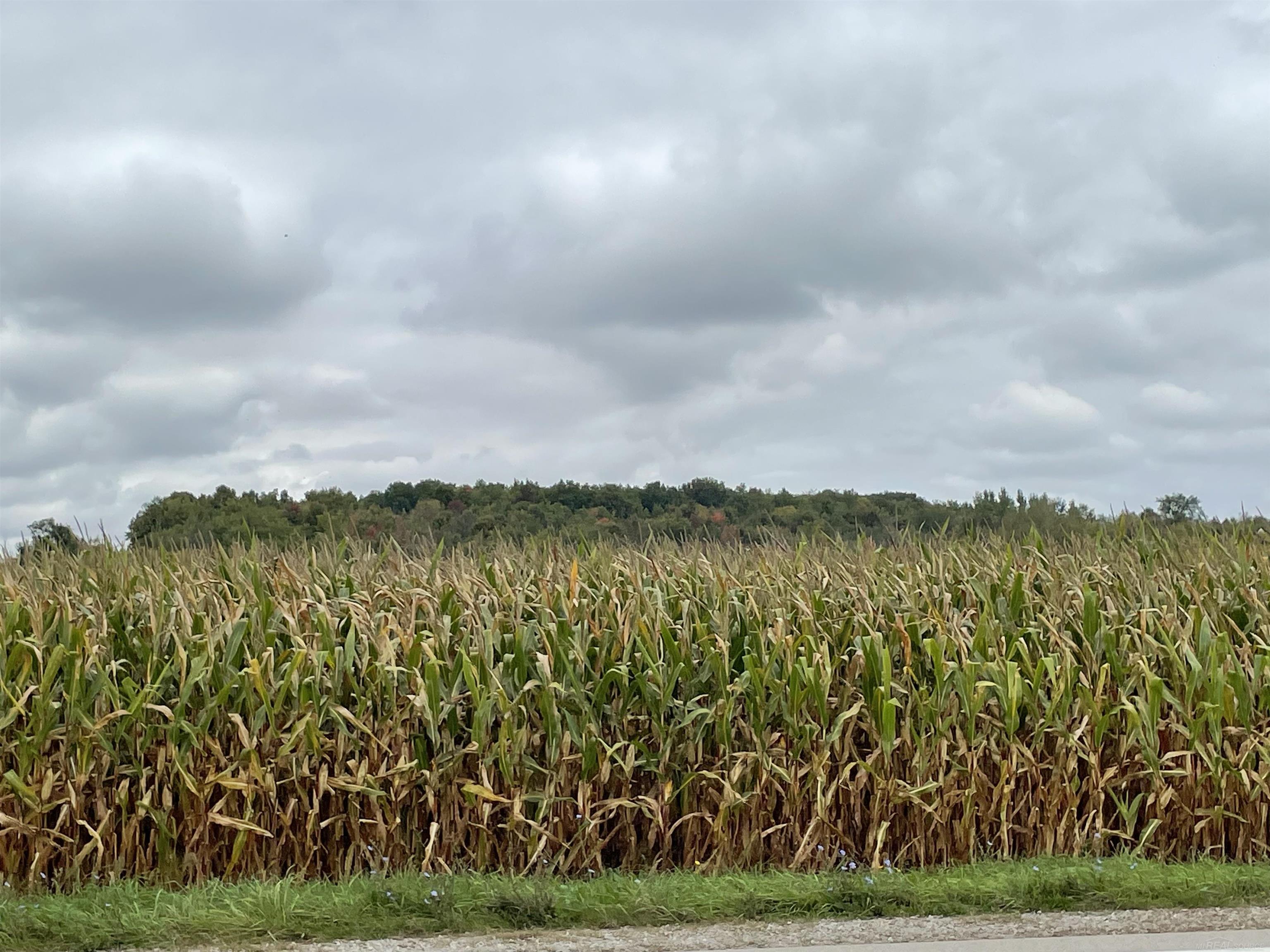 - North Sheridan Road Caro, MI 48723 - Photo 5 of 6