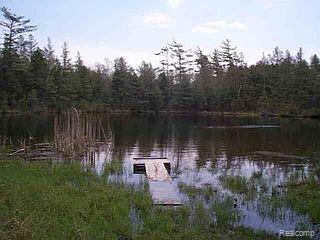 Vl Phelps Lake Road Silverwood, MI 48760 - Photo 1 of 1 Property Photo