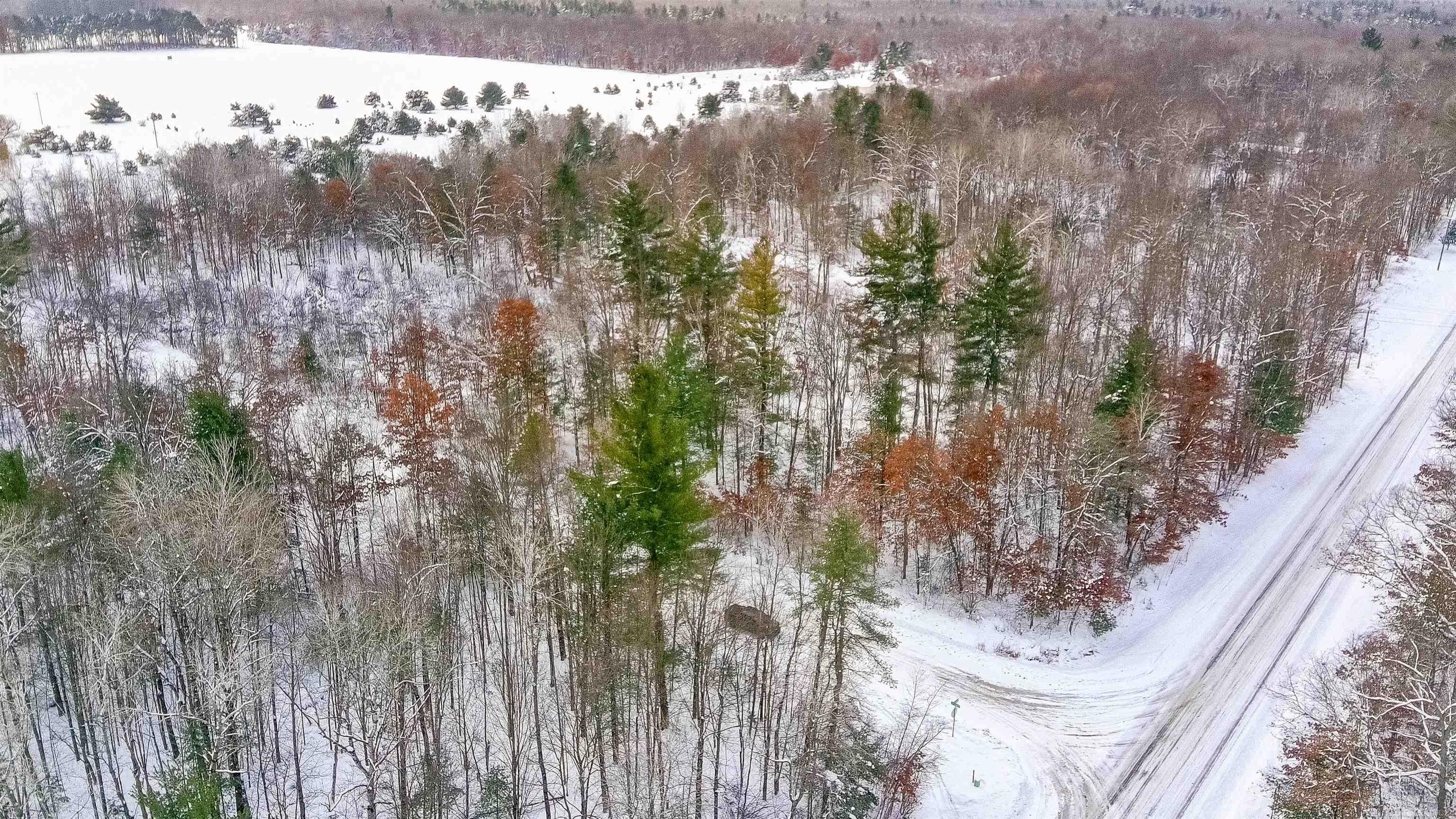 0 North Dagget Road Howard City, MI 49329 - Photo 8 of 25