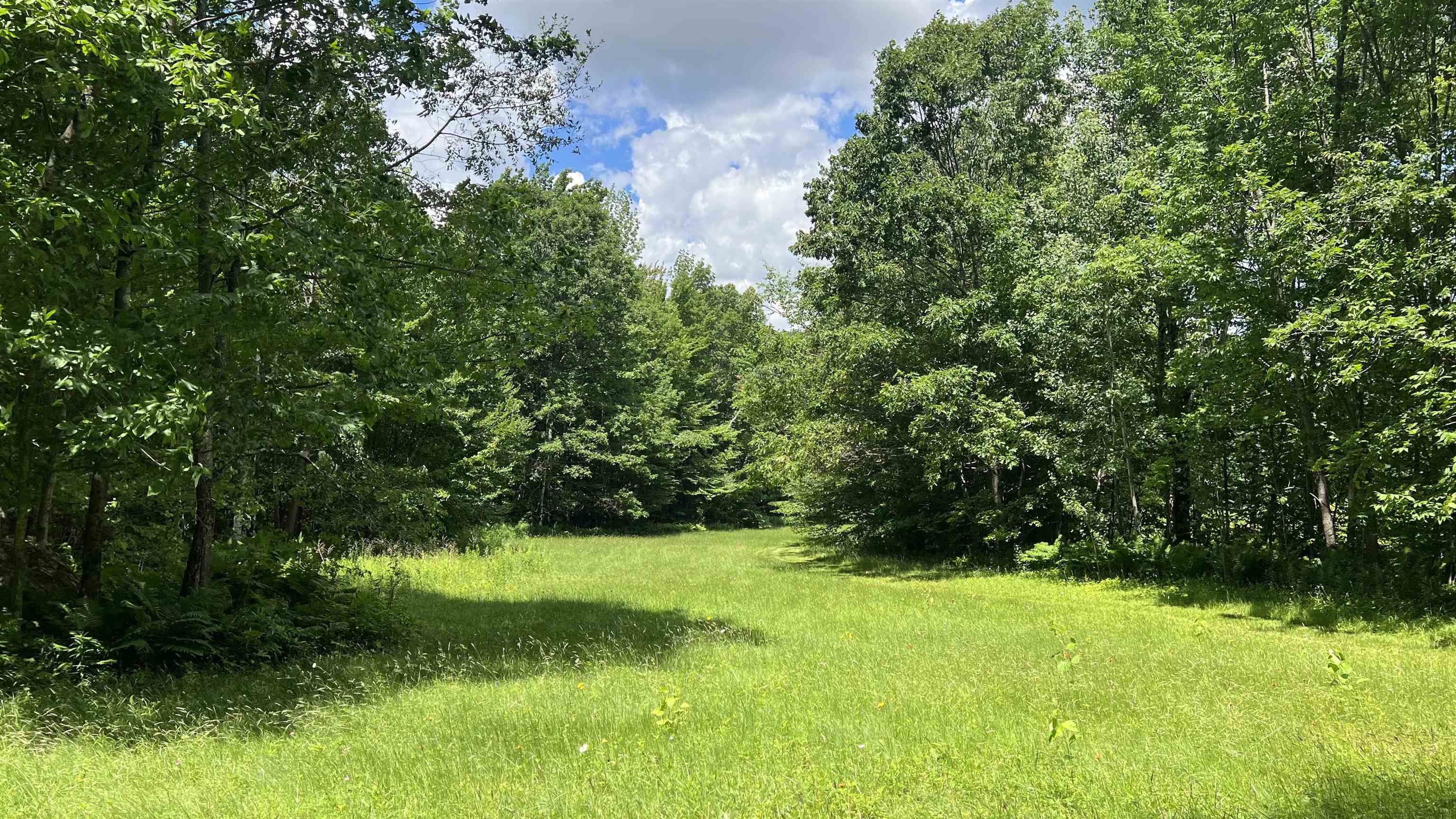412 Hall Ranch Road Grafton, VT 05146 - Photo 43 of 48