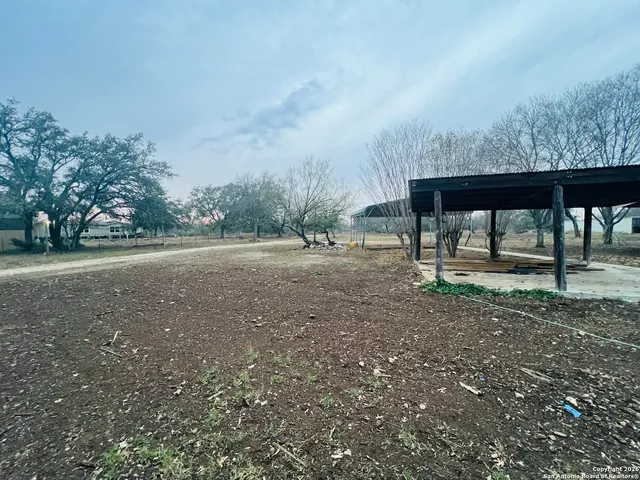 a view of some trees in the middle of a yard