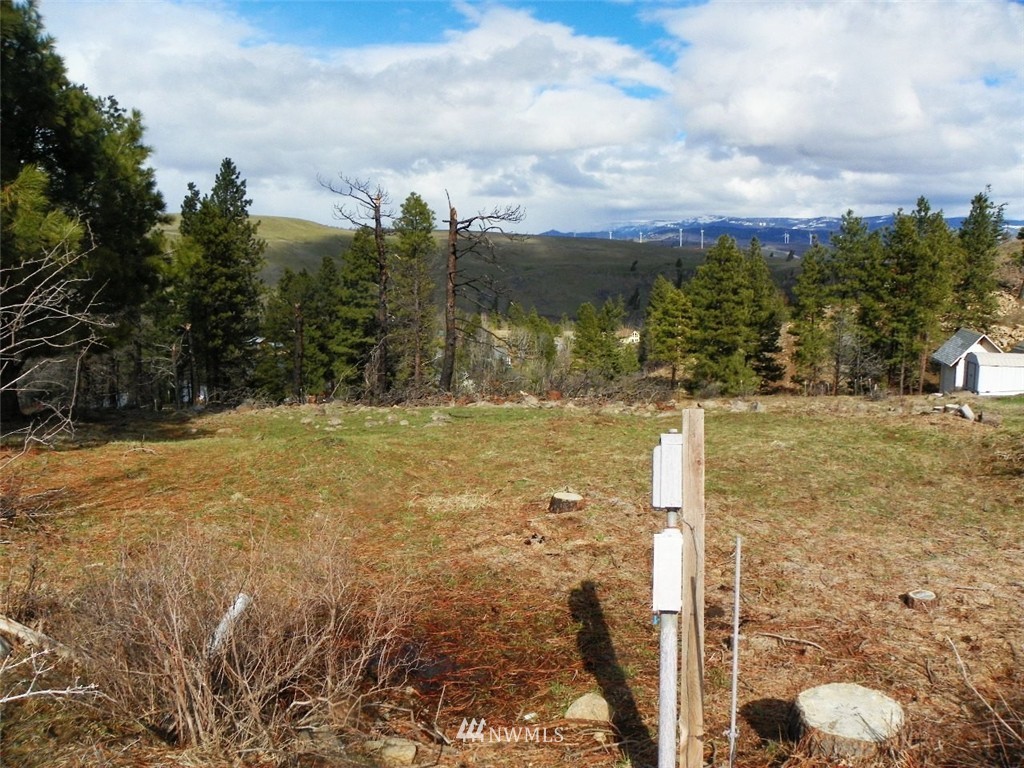 8 Ridge Loop Road Cle Elum, WA 98922 - Photo 3 of 14 Gallery Image 3