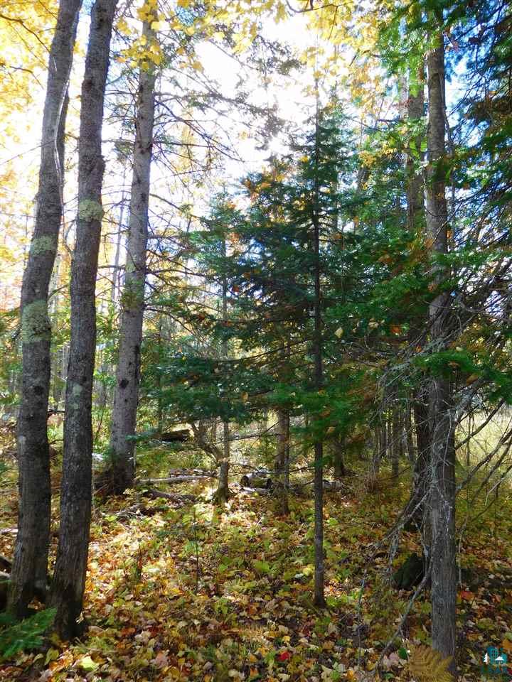 87455 Bark River Road Herbster, WI 54844 - Photo 15 of 21 Gallery Image 15