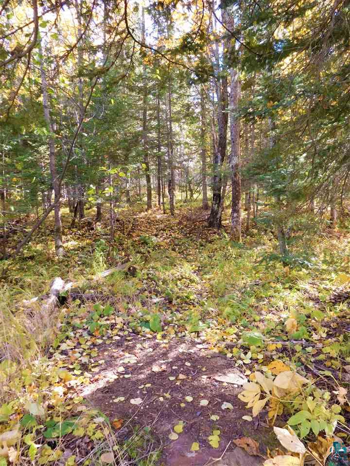 87455 Bark River Road Herbster, WI 54844 - Photo 17 of 21 Gallery Image 17