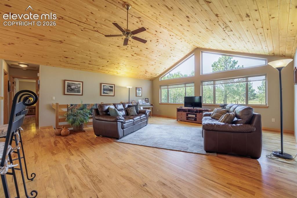 392 Aspen Village Road Divide, CO 80814 - Photo 8 of 43