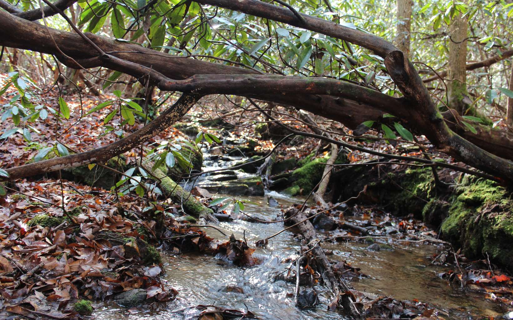 7 Fodder Creek Road Hiawassee, GA 30546 - Photo 12 of 22 Additional View