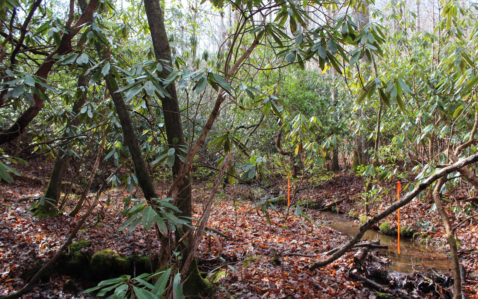 7 Fodder Creek Road Hiawassee, GA 30546 - Photo 13 of 22 Additional View