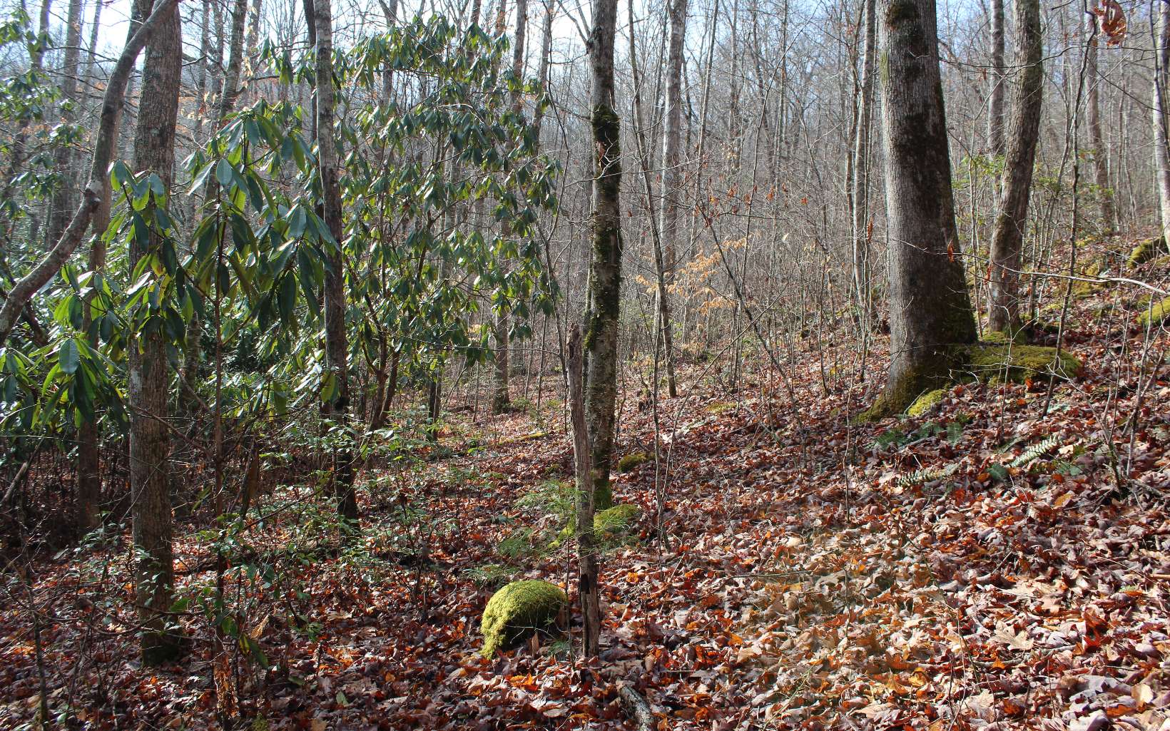 7 Fodder Creek Road Hiawassee, GA 30546 - Photo 15 of 22 Additional View