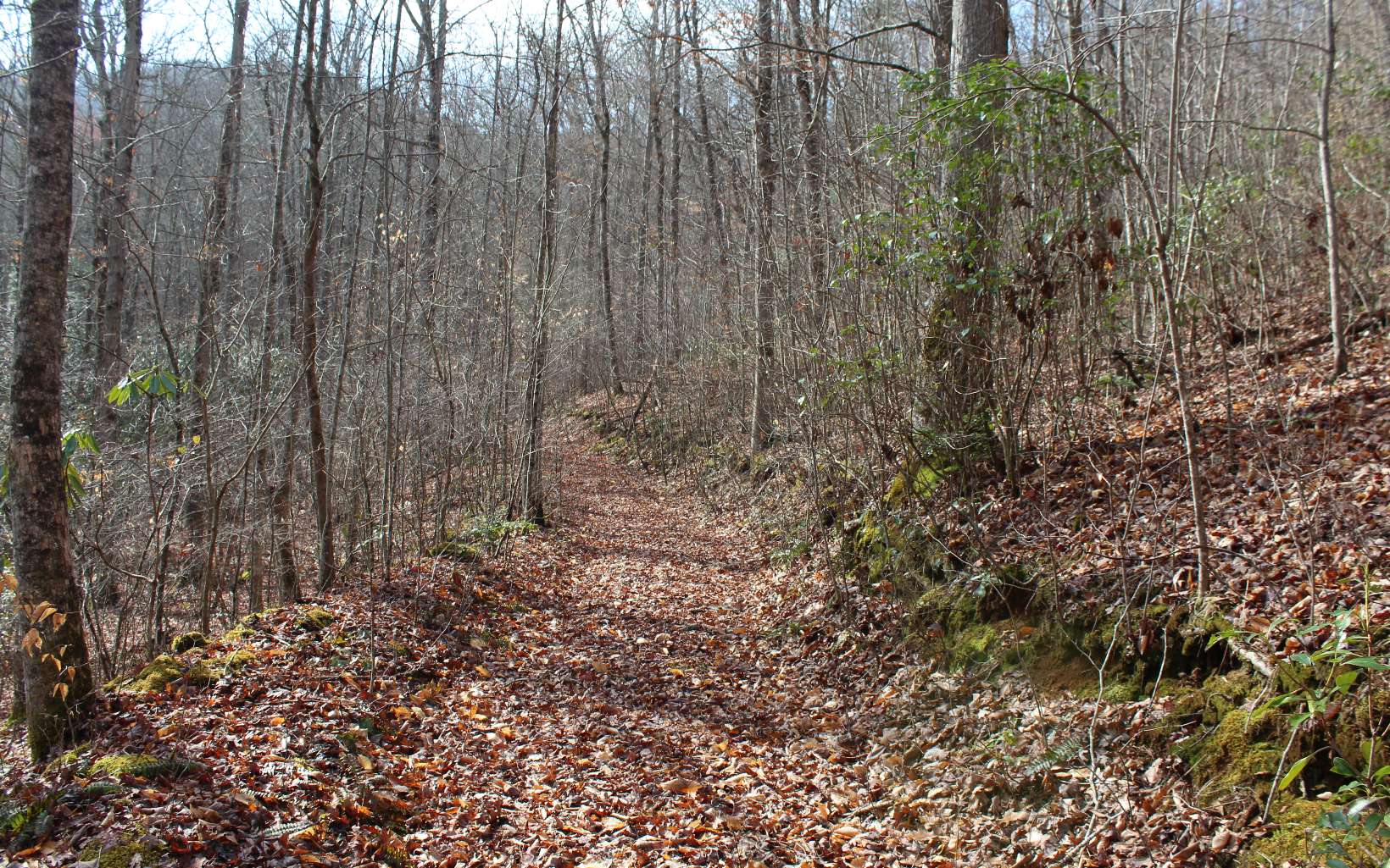 7 Fodder Creek Road Hiawassee, GA 30546 - Photo 16 of 22 Additional View