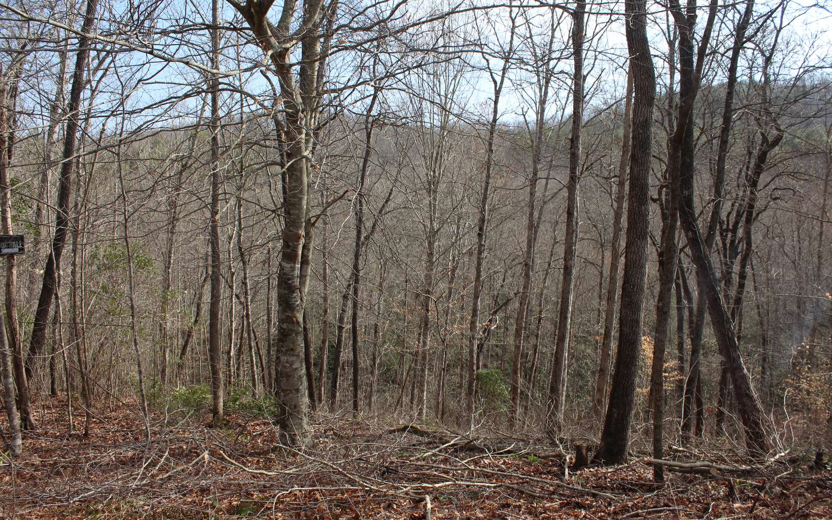 7 Fodder Creek Road Hiawassee, GA 30546 - Photo 18 of 22 Additional View