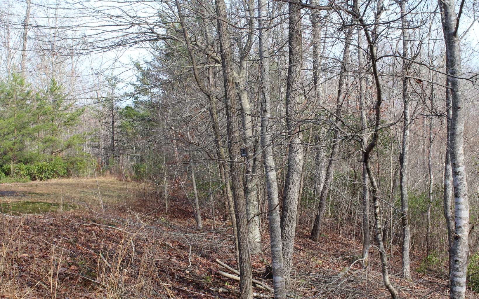 7 Fodder Creek Road Hiawassee, GA 30546 - Photo 3 of 22 Additional View