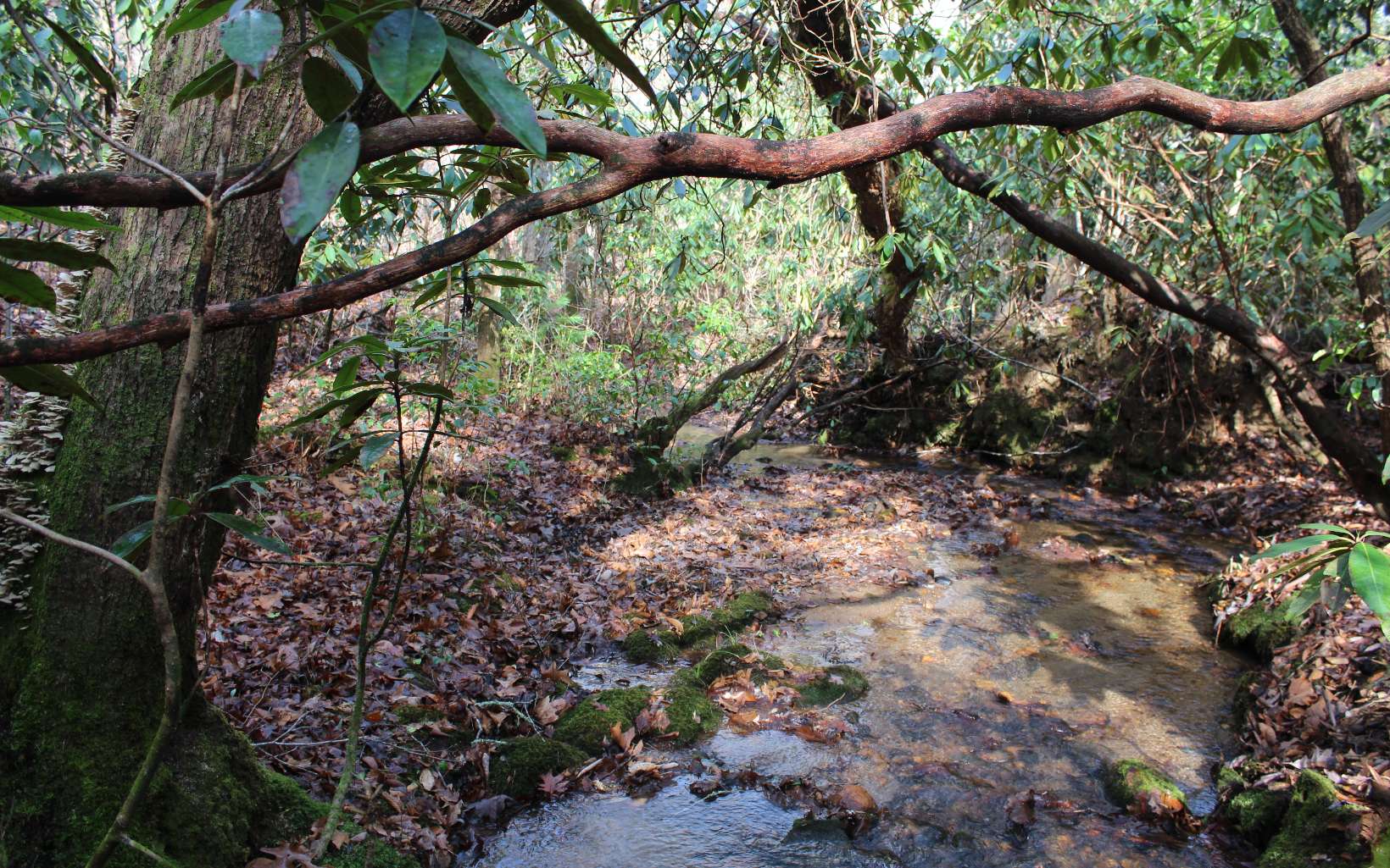 7 Fodder Creek Road Hiawassee, GA 30546 - Photo 5 of 22 Additional View