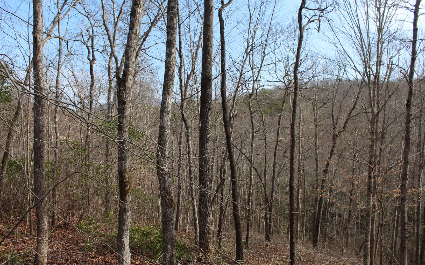 7 Fodder Creek Road Hiawassee, GA 30546 - Photo 6 of 22 Additional View