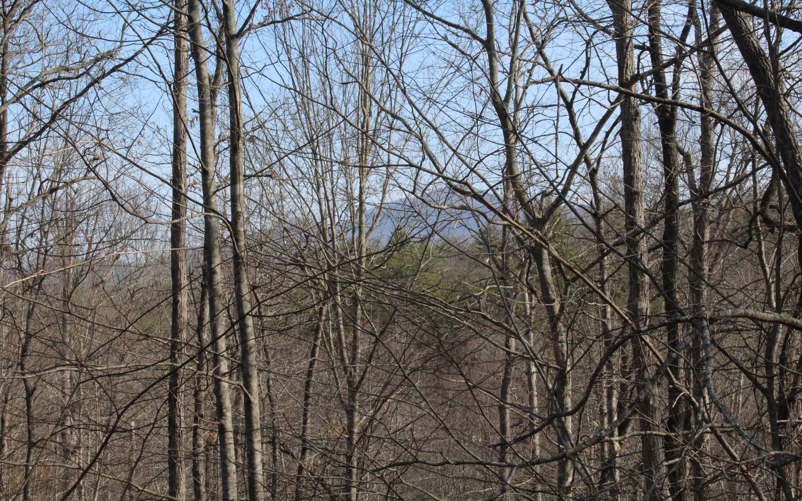 7 Fodder Creek Road Hiawassee, GA 30546 - Photo 7 of 22 Additional View