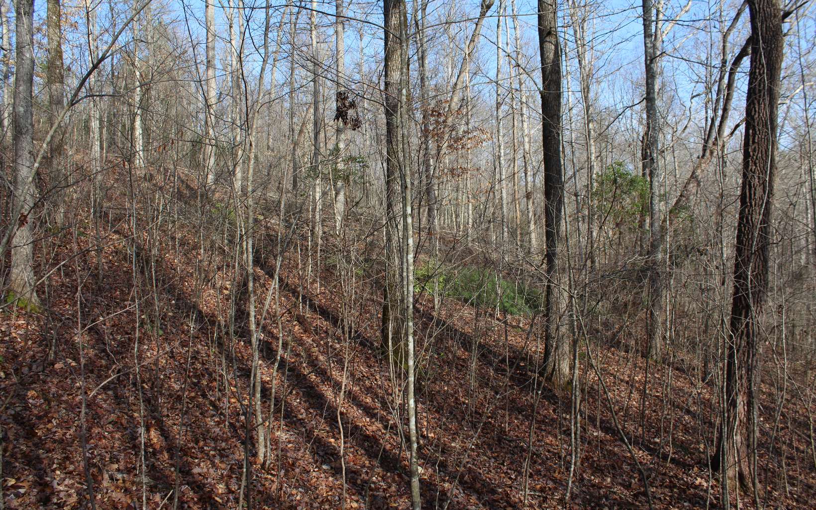 7 Fodder Creek Road Hiawassee, GA 30546 - Photo 8 of 22 Additional View