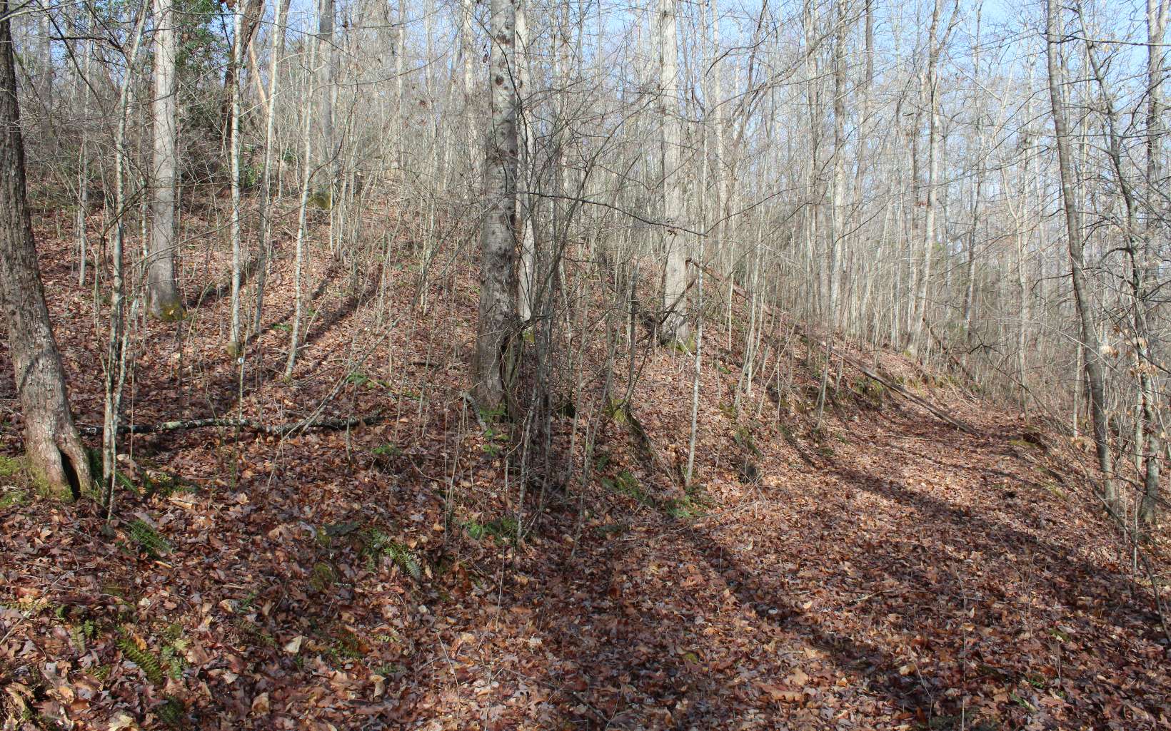 7 Fodder Creek Road Hiawassee, GA 30546 - Photo 9 of 22 Additional View