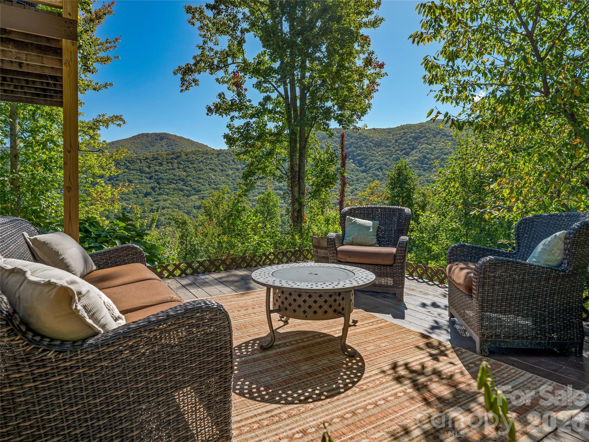 382 Black Oak Cove Road Candler, NC 28715 - Photo 40 of 46