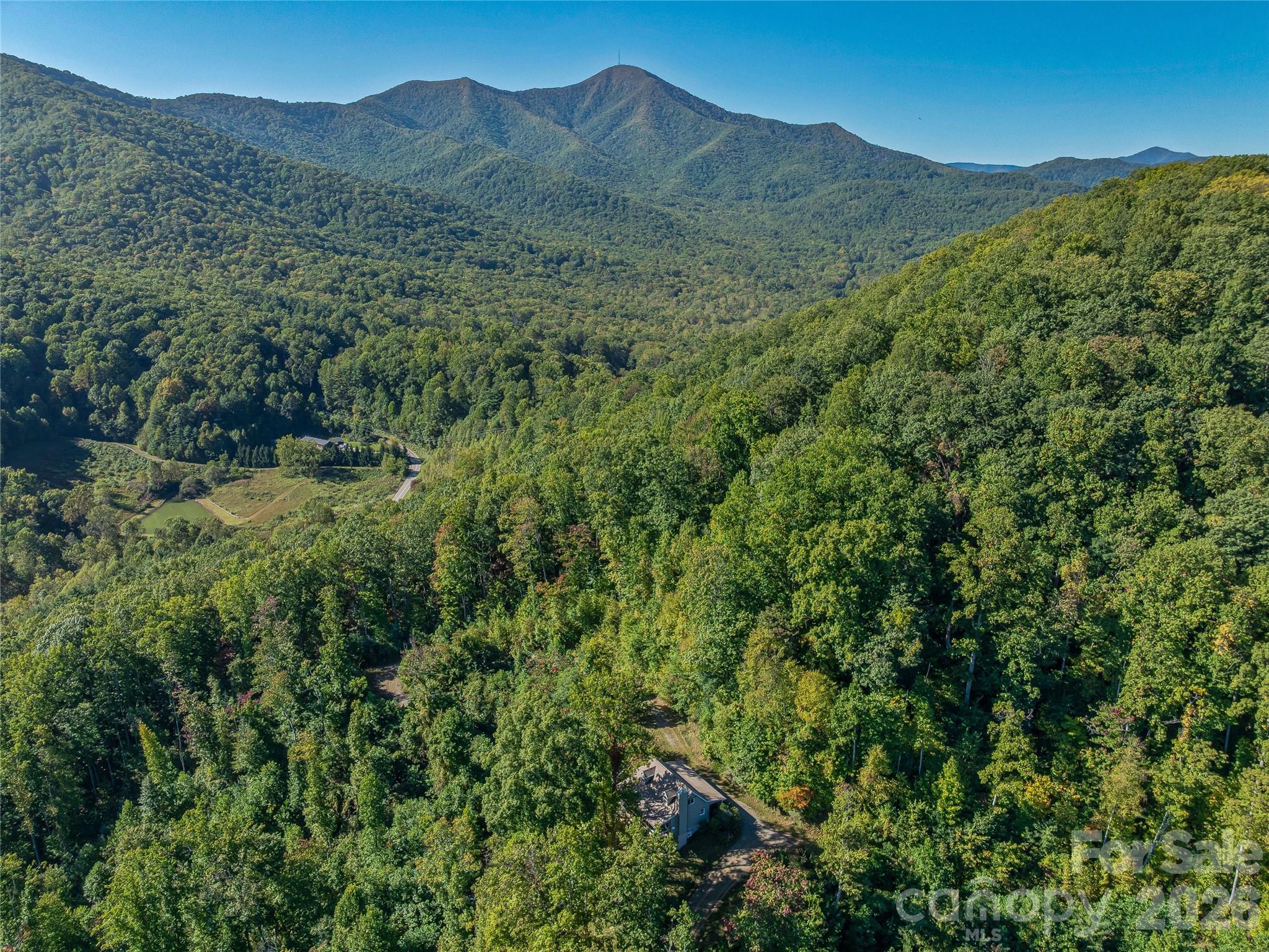 382 Black Oak Cove Road Candler, NC 28715 - Photo 43 of 46 a view of a mountain range with lush green forest