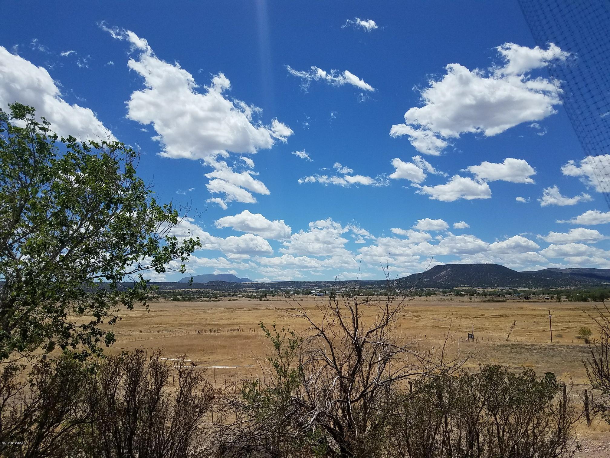 62 North Gutierrez Street Springerville, AZ 85938 - Photo 1 of 36