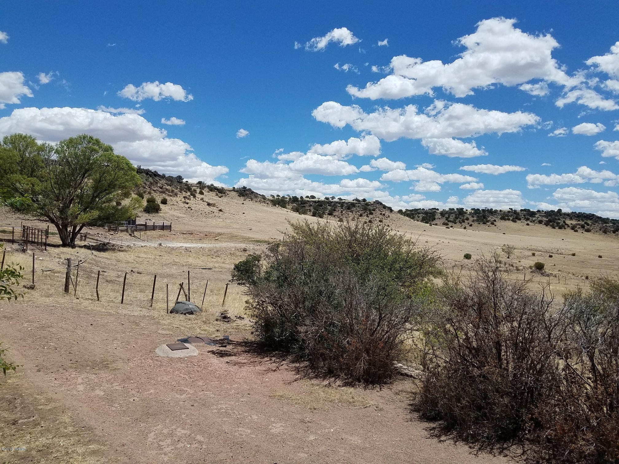 62 North Gutierrez Street Springerville, AZ 85938 - Photo 13 of 36