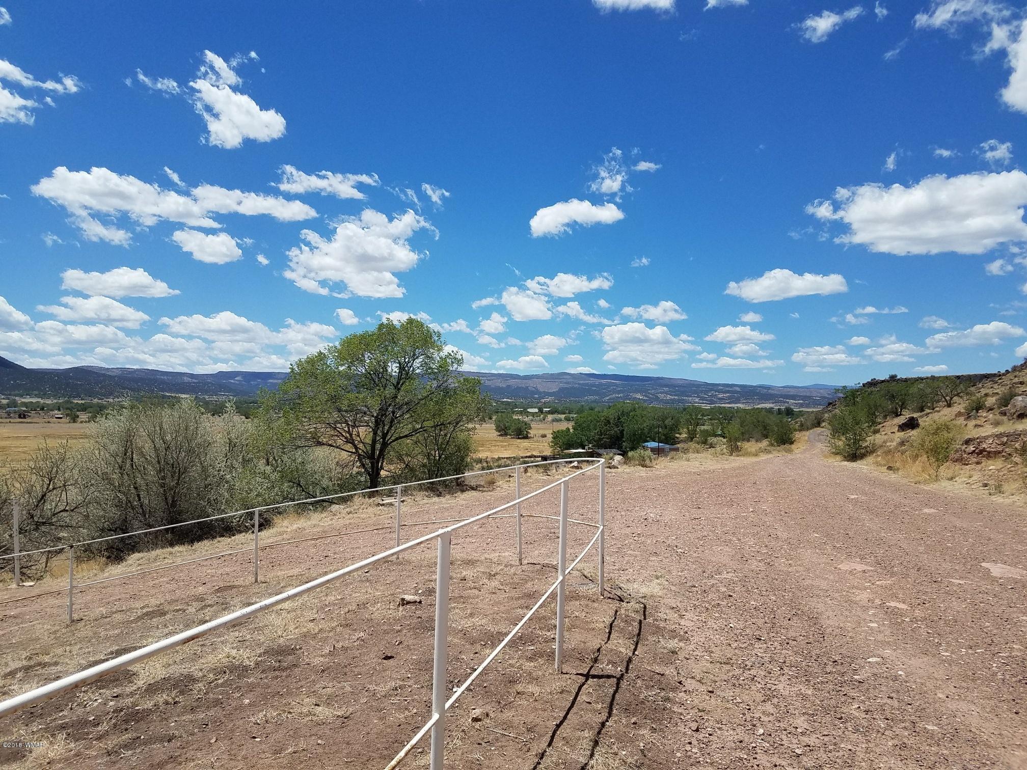 62 North Gutierrez Street Springerville, AZ 85938 - Photo 14 of 36