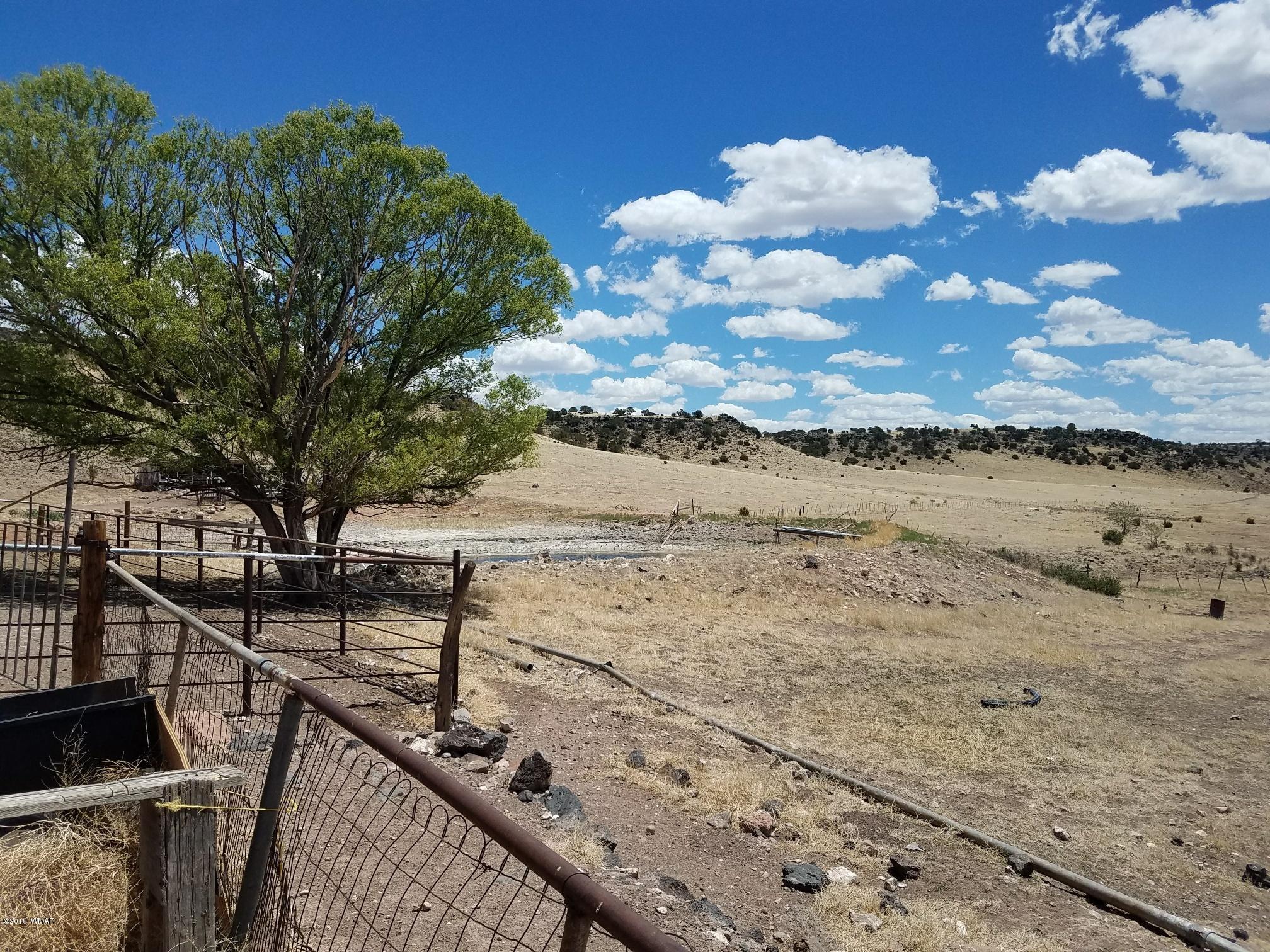 62 North Gutierrez Street Springerville, AZ 85938 - Photo 15 of 36