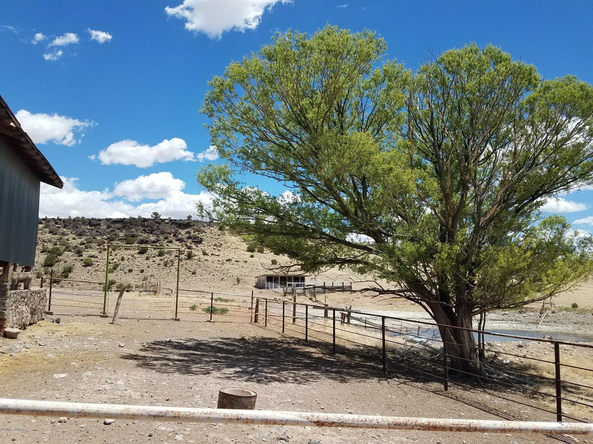 62 North Gutierrez Street Springerville, AZ 85938 - Photo 16 of 36